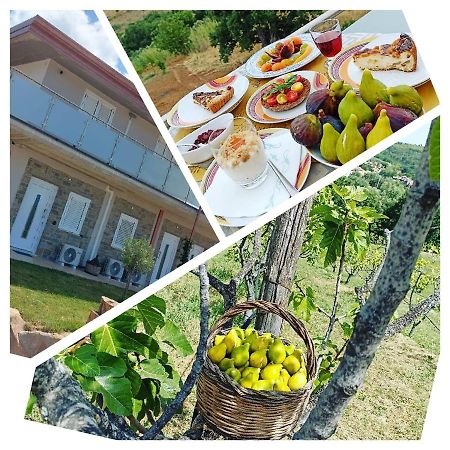 Ceraso Casa Del Sole B&B 외부 사진